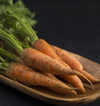 Carrot, Heirloom Danver 2.7 Grams - Image 3