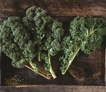 Kale, Heirloom Vates Blue Curled 4 Grams - Image 3