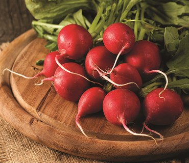 Radish, Heirloom Cherry Belle 4 Grams - Image 3