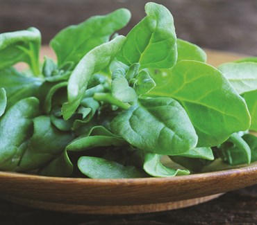 Spinach, Heirloom New Zealand 4 Grams - Image 3