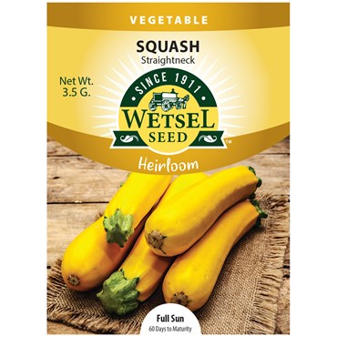 Squash, Heirloom Straightneck 3.5 Grams