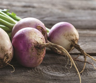Turnips, Heirloom Purple To 4 Grams - Image 3