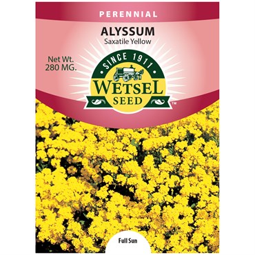 Alyssum, Saxatile Yellow 280mg