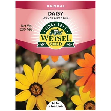 African Daisy Aurantiaca Mix 280mg