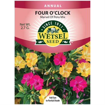 Four O'clock, Marvel of Peru 2.7 Grams