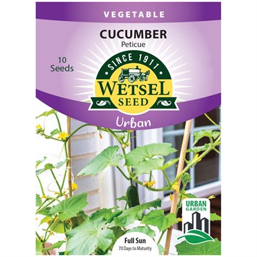 Cucumber, Peticue ( Patio ) 10 Seed Count