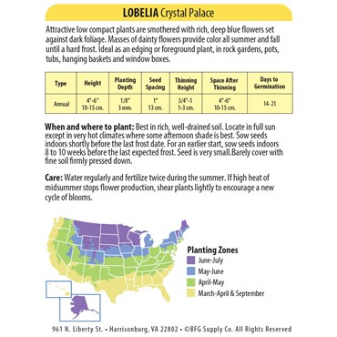 Lobelia, Crystal Palace 175mg - Image 2