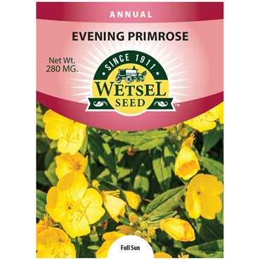 Evening Primrose 280mg