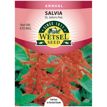 Salvia, St. John's Fire 470mg