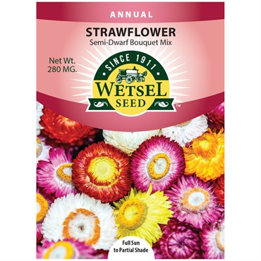 Helichrysum, Strawflower Semi Dwarf Bouquet Mix 280mg