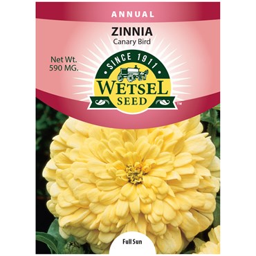 Zinnia, Canary Bird 590mg