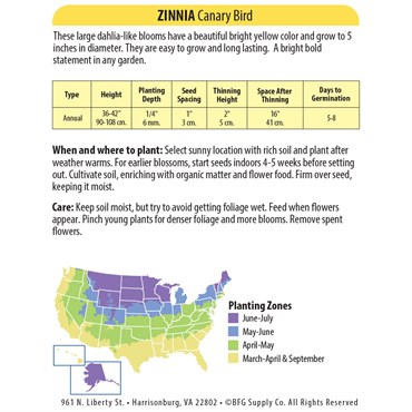 Zinnia, Canary Bird 590mg - Image 2
