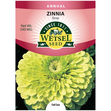 Zinnia, Envy 590mg
