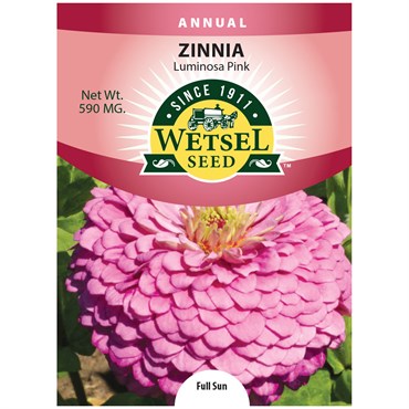 Zinnia, Luminosa Pink 590mg