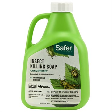 Safer 16oz Flower & Gard Insect Soap Conc — Single Unit
