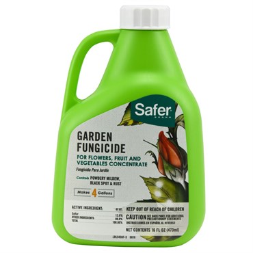 safer 16oz fungicide garden pricing availability log