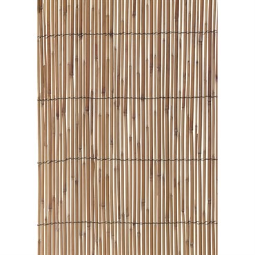 WSP HG 13'x6'6" Reed Fencing