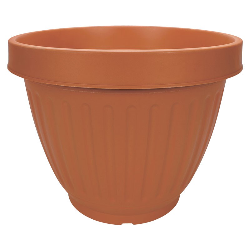 ITML CBU1550 15.50 CENTABELA PLNTR CLAY 36/P — Case of 12