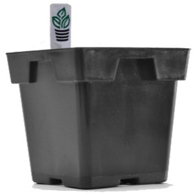 Belden Jumbo Square Tagspot Black — Case of 200