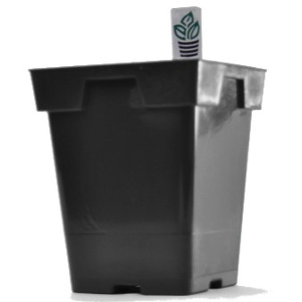 Belden Jumbo Sr Sq Pot 5.25" X 6.50" 13.33 cm Black — Case of 200