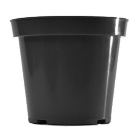 BLD 04.50 GERANIUM BLK 693405 — Case of 600