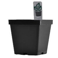BLD MAXI SQUARE W/TS BLK 691705 — Single Unit