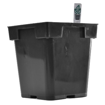BLD MAGNUM SQ BLK 691543 — Case of 150