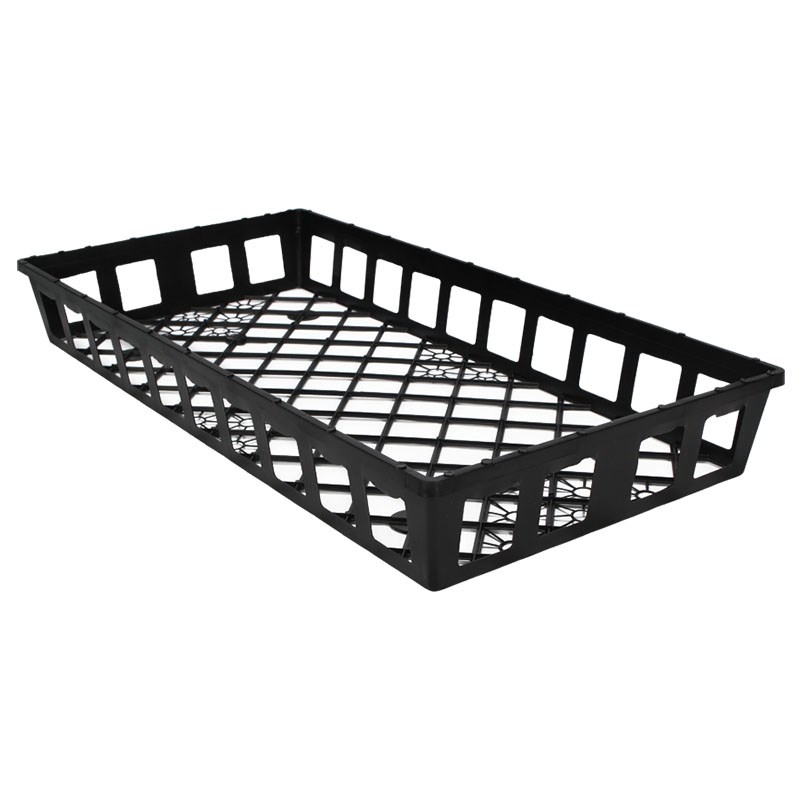 DLN TRUE LTWT 1020 WEB FLAT 50/BD — Single Unit