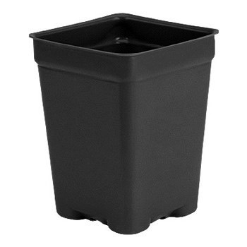DILLEN DSQVP3PF/D 03.00 SQUARE PF PRESS FIT VAC POT DEEP BLACK — Single Unit
