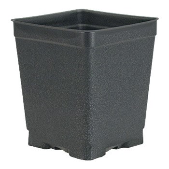 DILLEN DSQVP45PF/D 04.50 SQUARE PF PRESS FIT VAC POT DEEP BLACK — Single Unit
