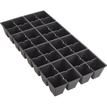 DLN 804 TRUE INSERT BLK — Case of 100