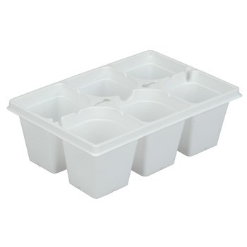 DLN T306BP (ACH) TRUE 6 CELL BSKT PACK WHT — Case of 300