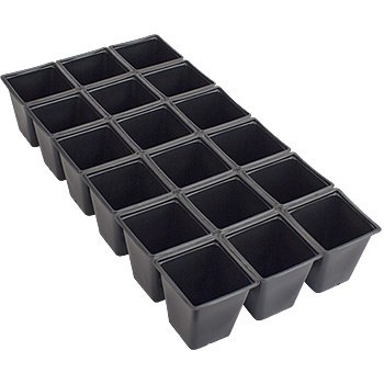 DLN TPS1801 TRUE PEREN SHT-O-POTS CUT 3.25IN — Single Unit