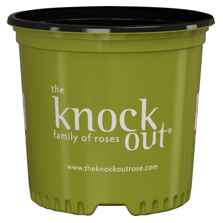 NS PF1200 KNOCK OUT ROSE, TRADE SIZE TRUE 3 GALLON, 3 GALLON 32CS/TOWER (10-1/2"X9-3/8"), 3Gallon — Case of 71