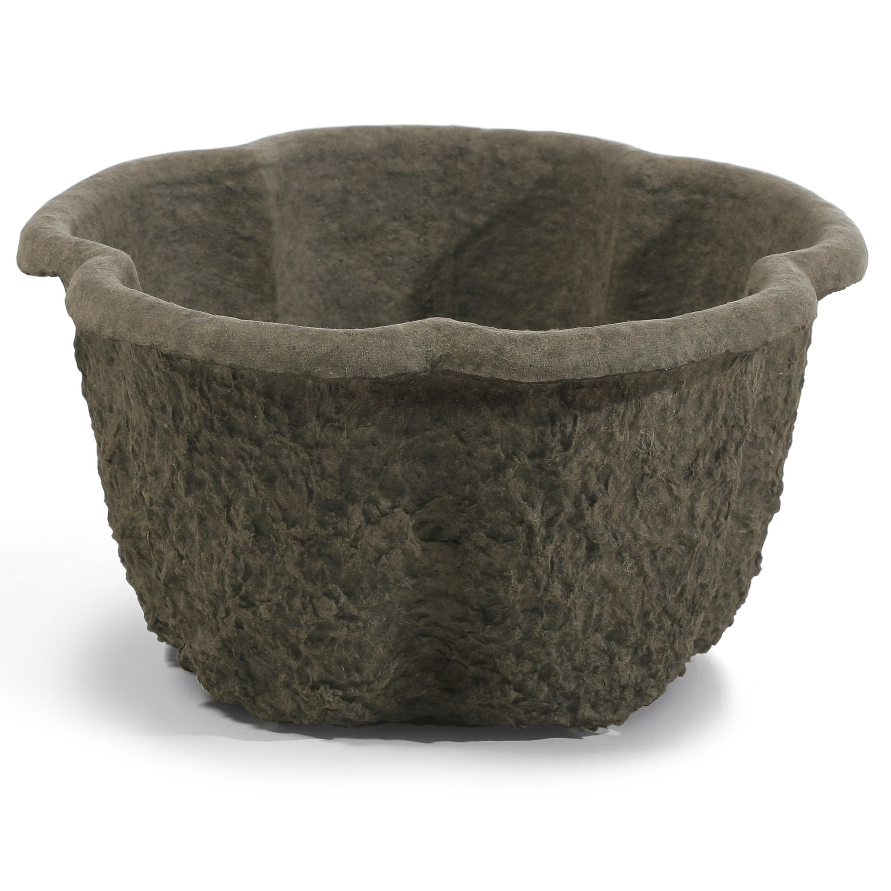 WP 12 CLOVER POT 106127 — Case of 20