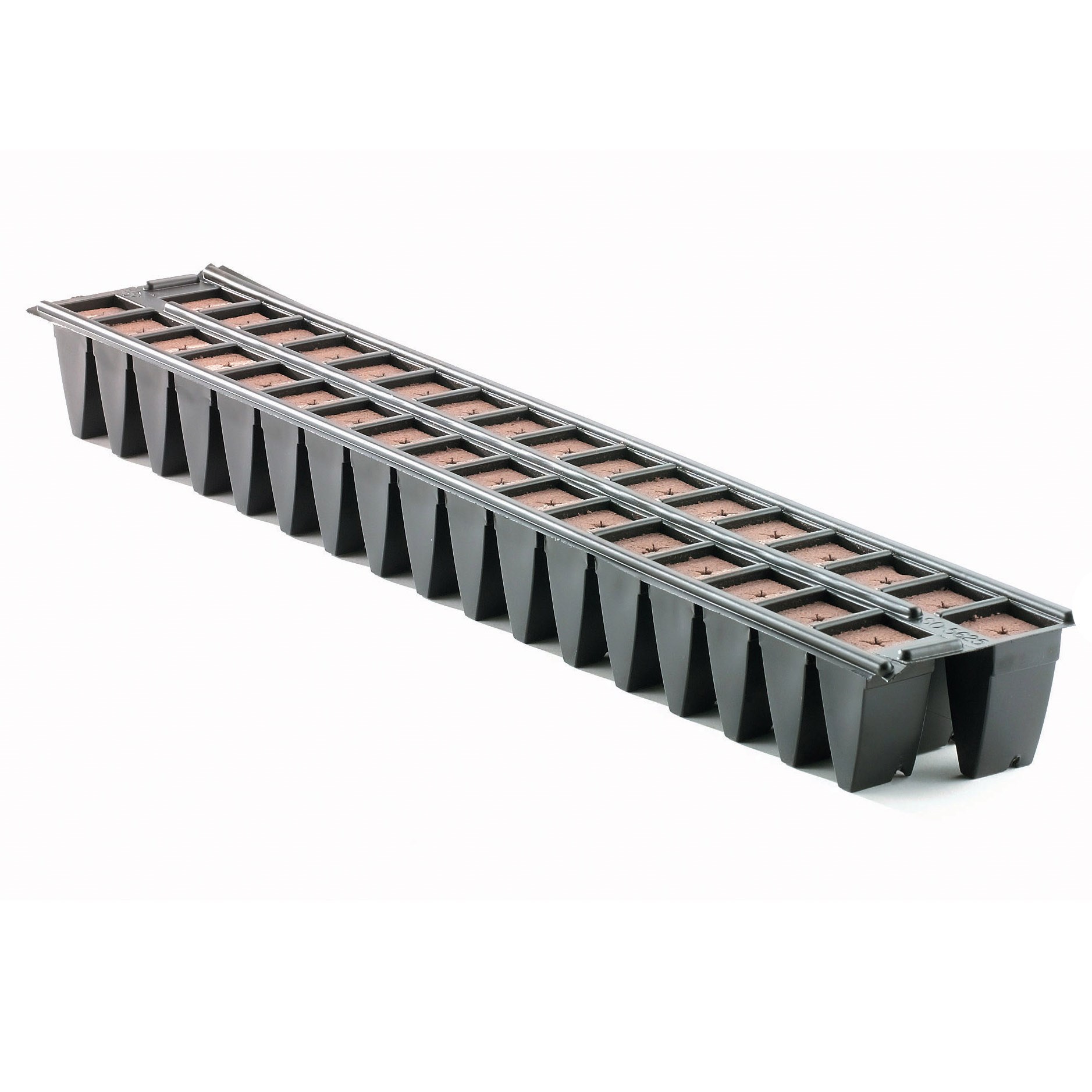 SMO OASIS 5625 WEDGE 34CT DBL STRIP — Case of 2448