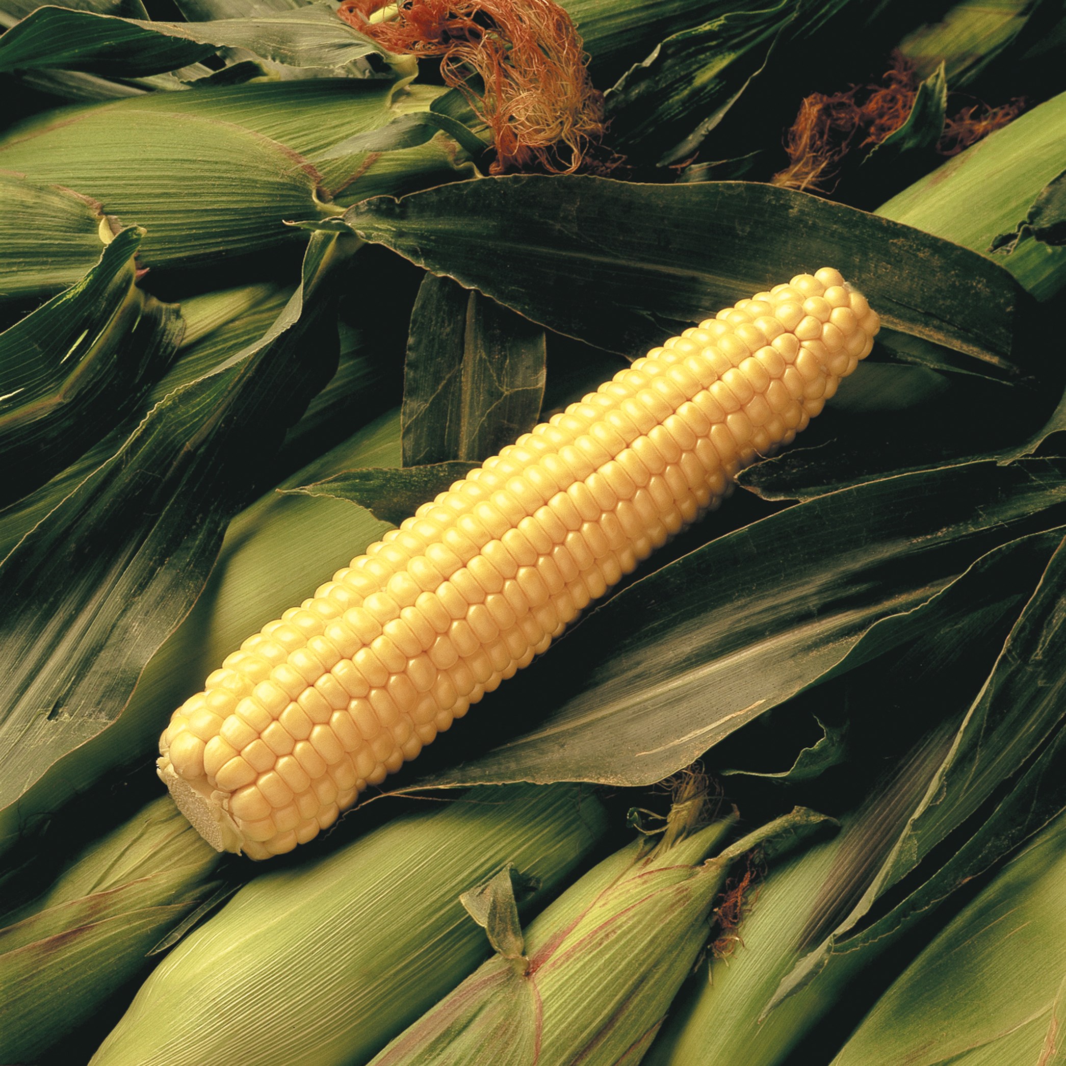 Corn, Early Sunglow 1/2lb