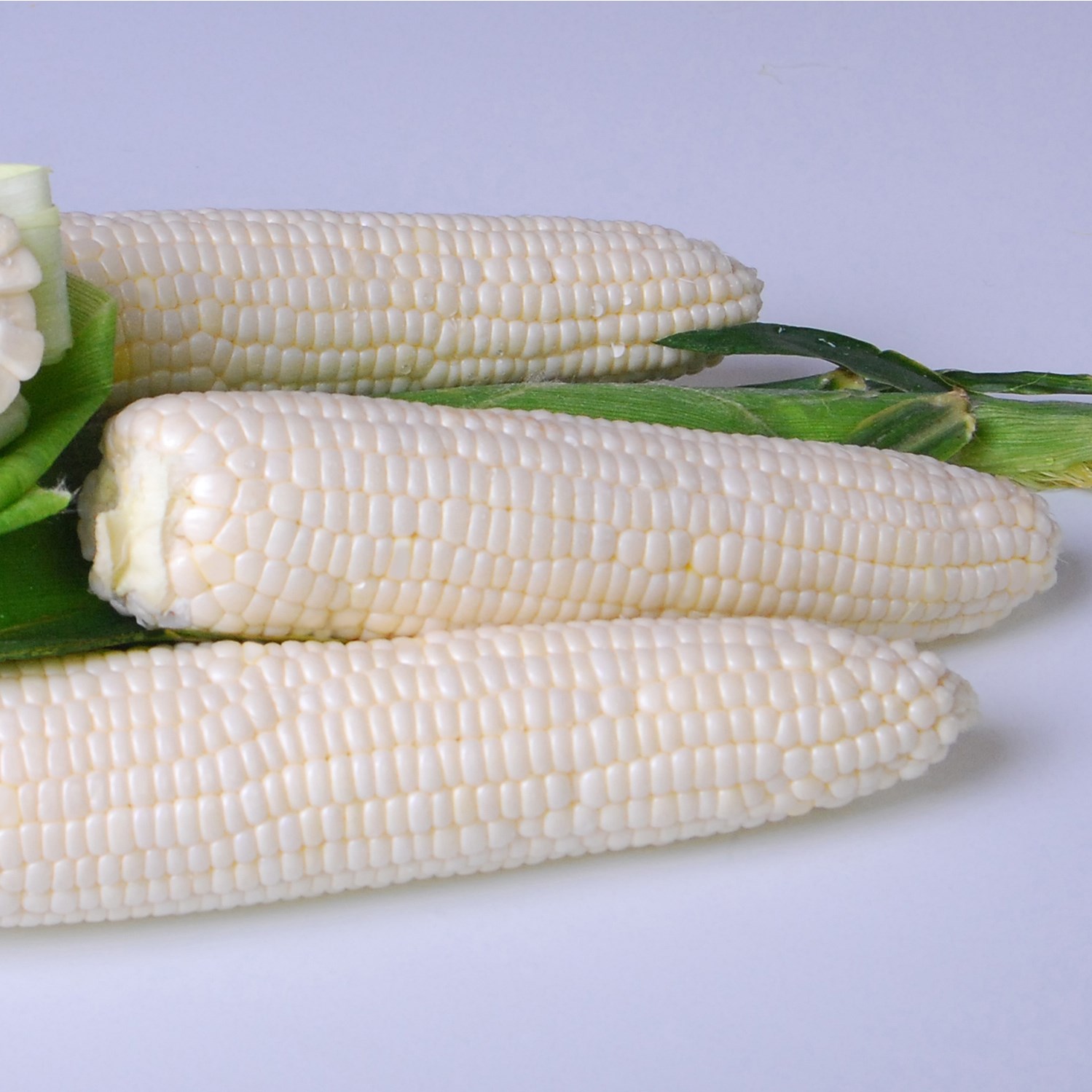 Corn, Argent 1/2lb