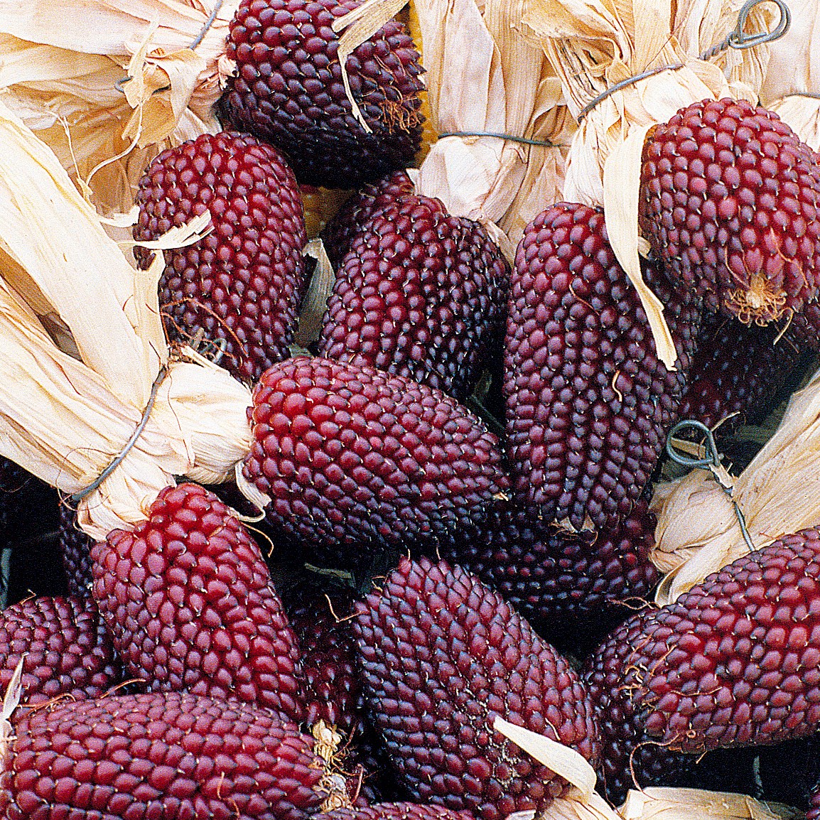 Popcorn, Red Strawberry 1/2lb