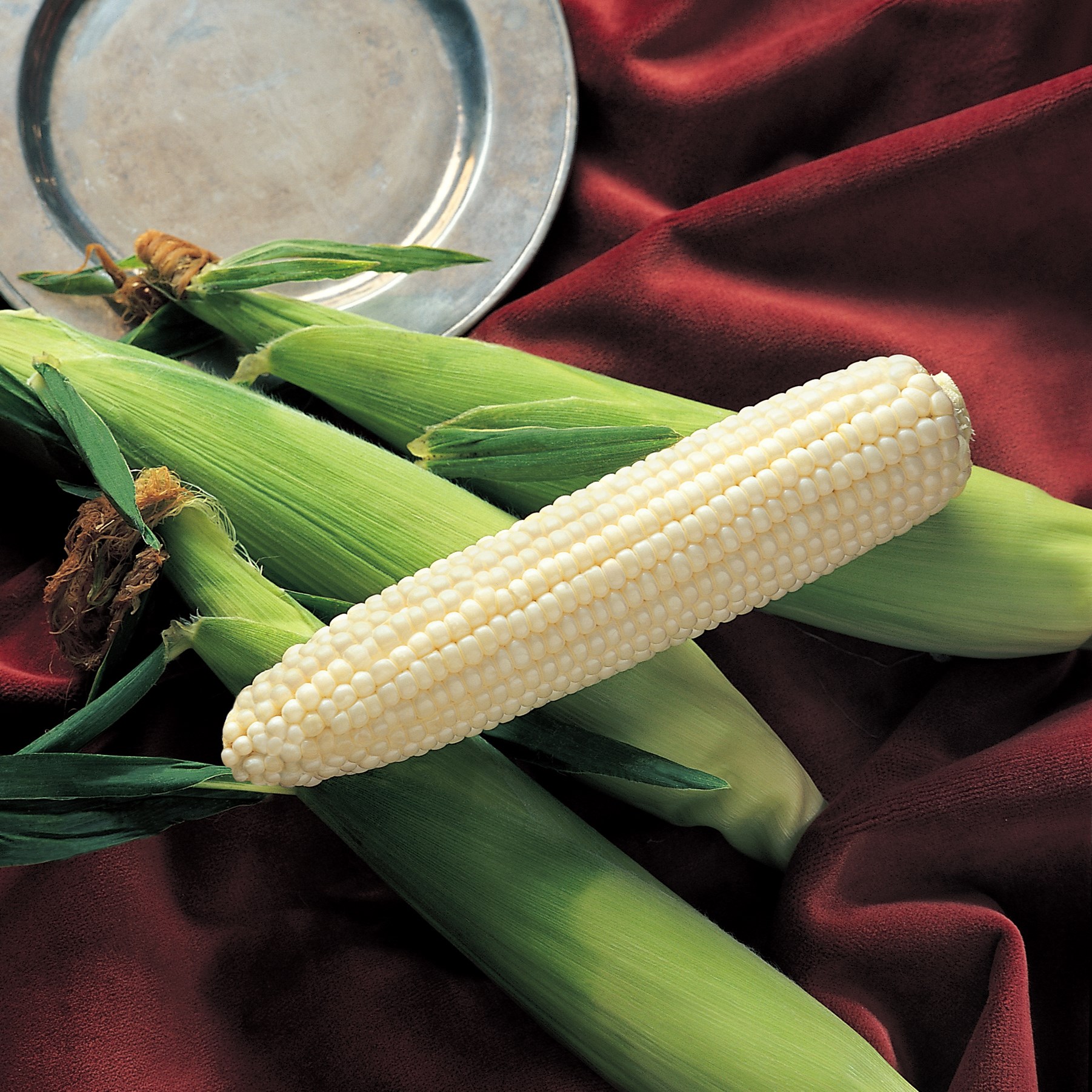 Corn, Silver King 4oz