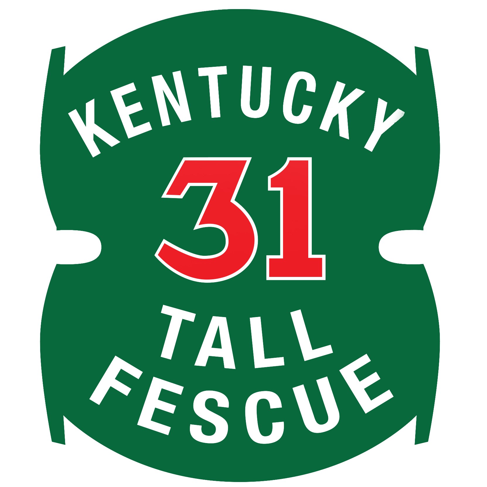 Tall Fescue, Kentucky 31 25# — 1 Bag