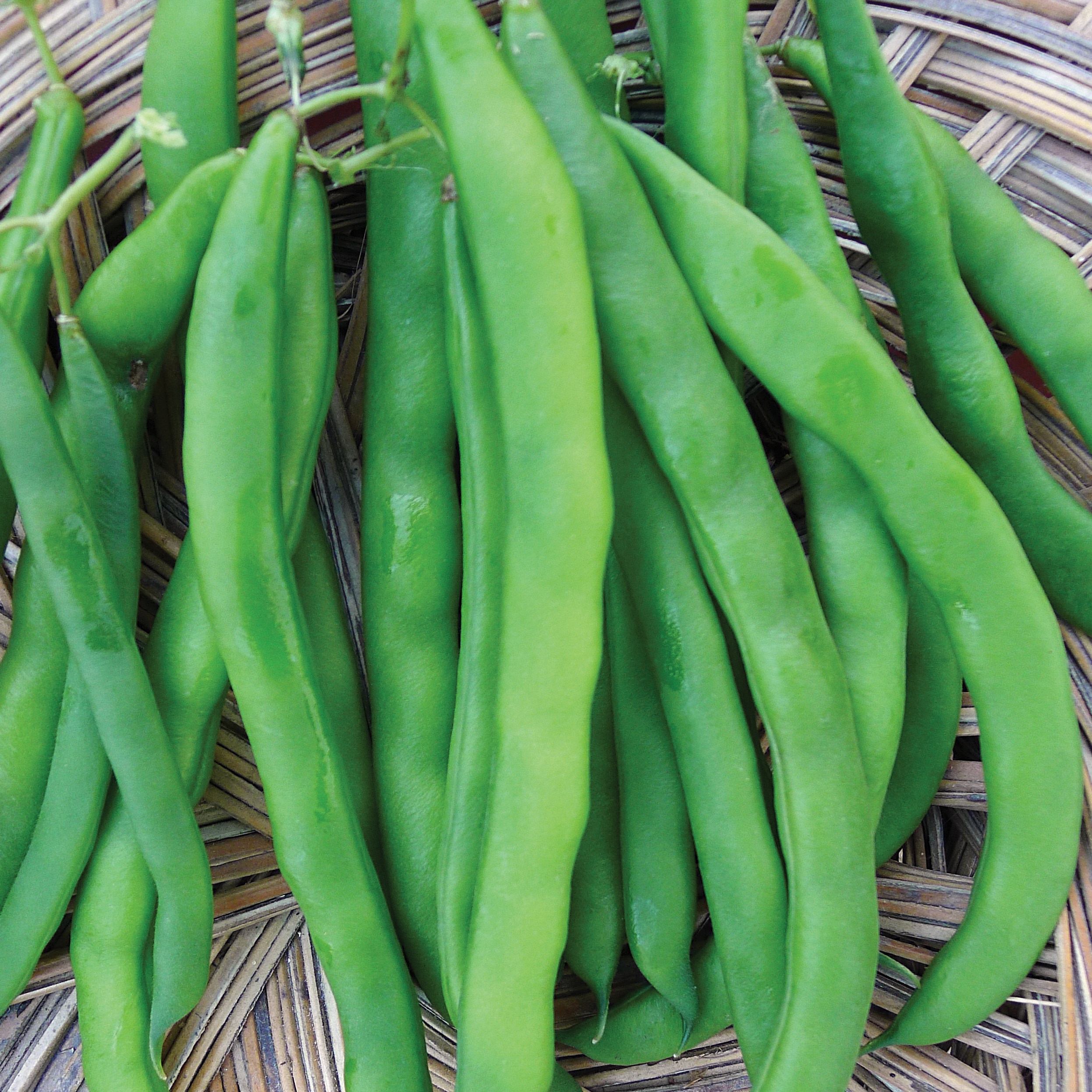 Beans, White Half Runner 25lb