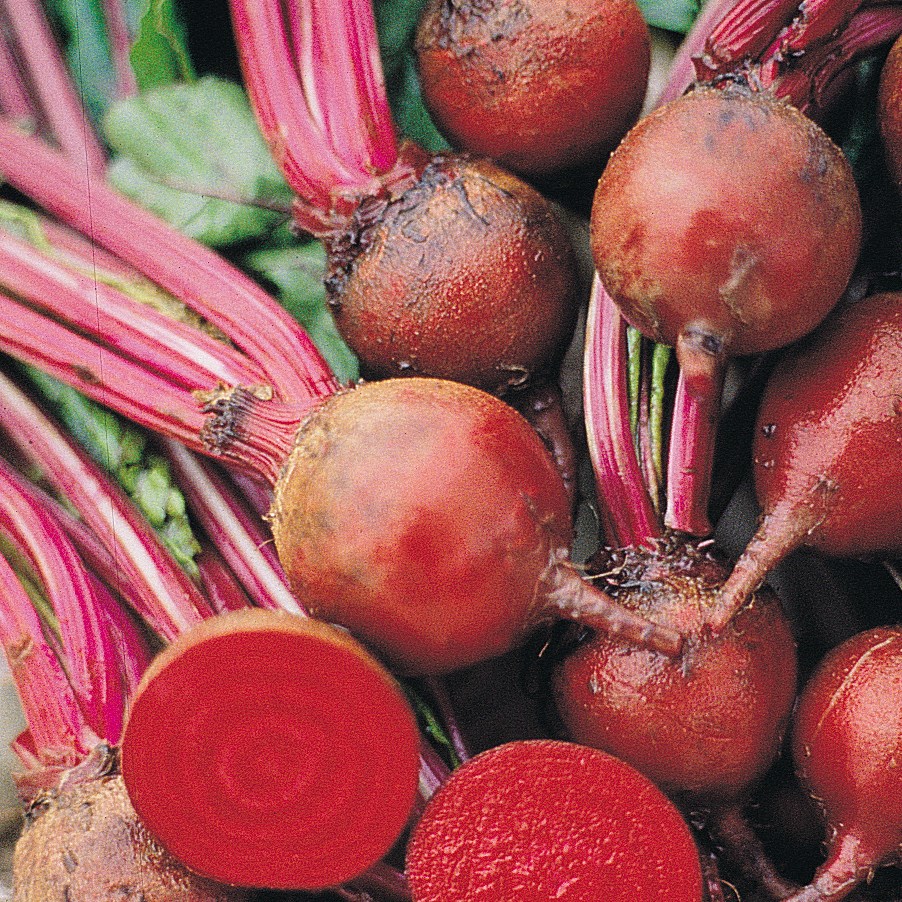 Beets, Detroit Dark Red 1/2oz