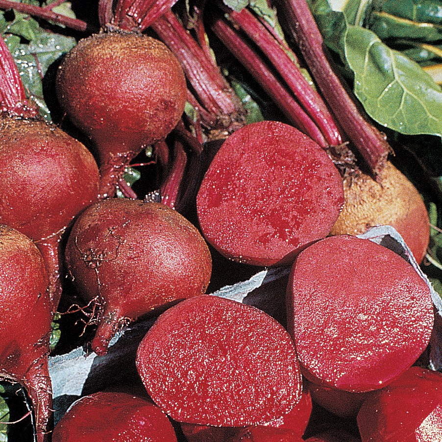 Beets, Crosby Egyptian 1/2oz