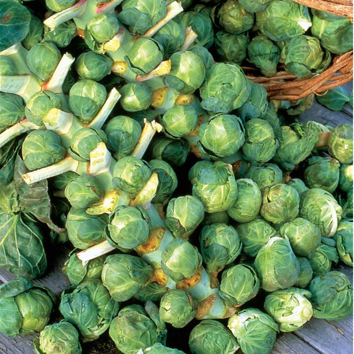 Brussel Sprouts, Long Island 1lb