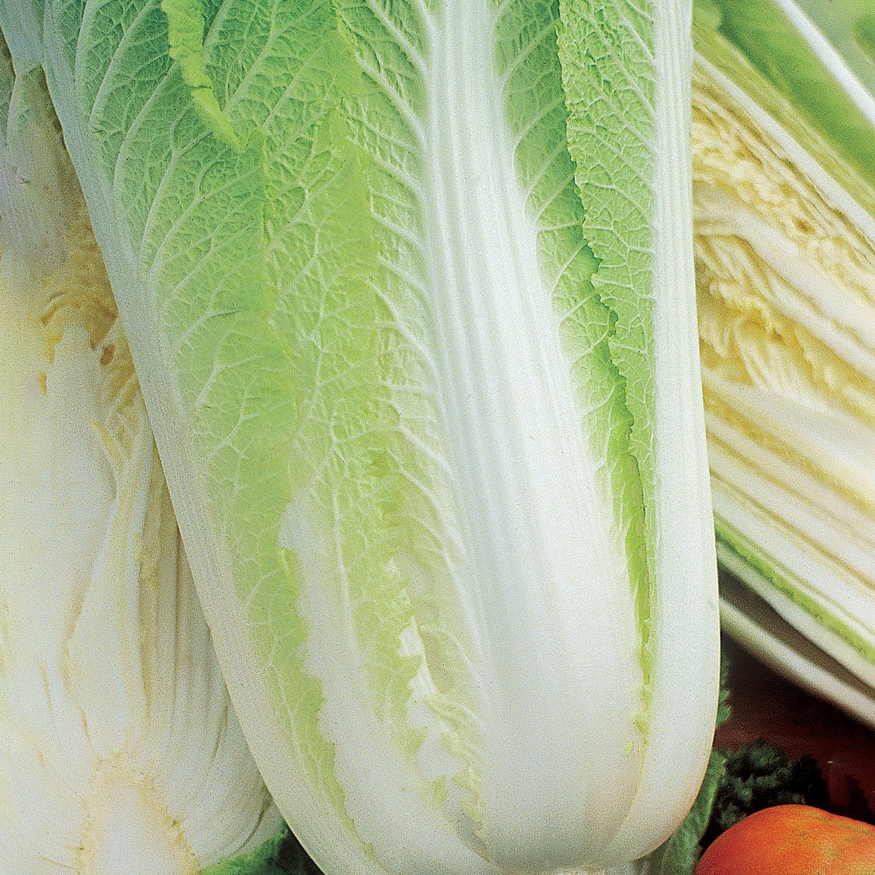Cabbage, Michihili Chinese 1/2oz