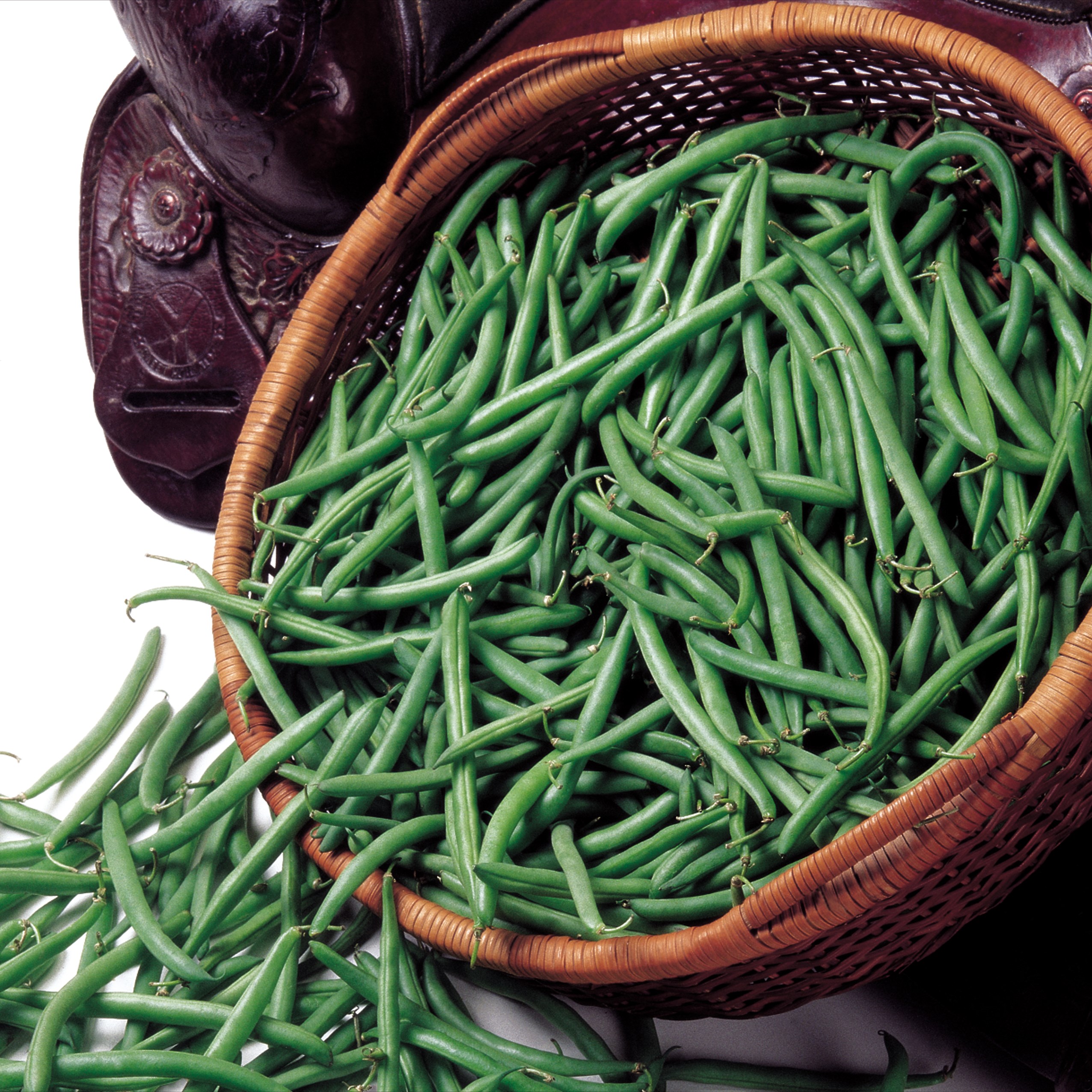 Beans, Bronco Bush 80M
