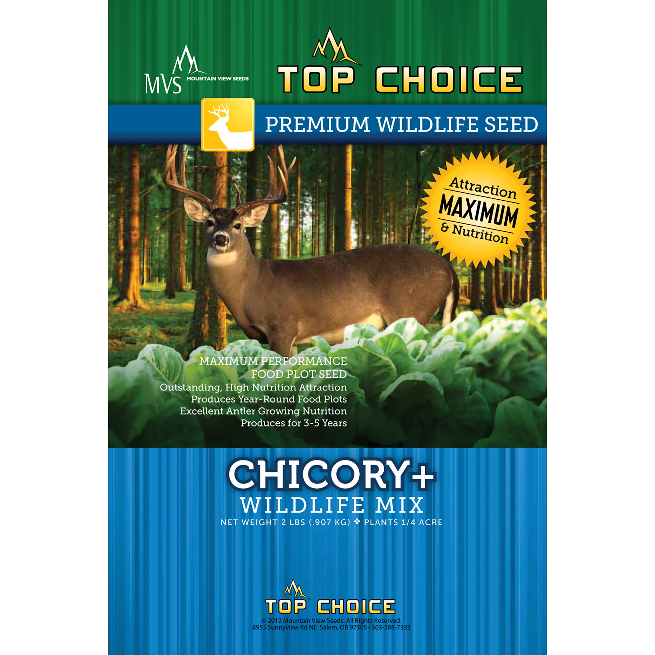 Top Choice Chicory Plus 4# Each — priced per each; minimum 10; multiples of 10