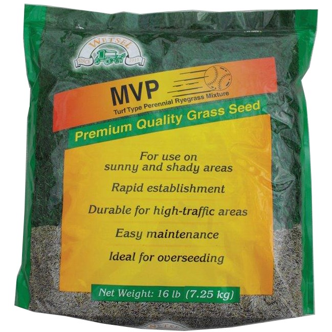 MVP Perennial Ryegrass 16# Each