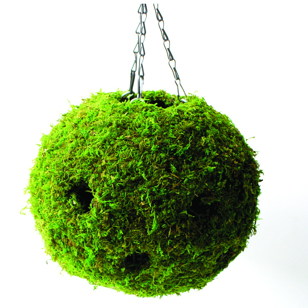 SuperMoss 12" Woven Moss Ball Planter — priced per each; minimum 4; multiples of 4
